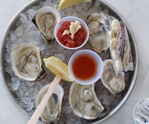 fresh oysters on display over ice