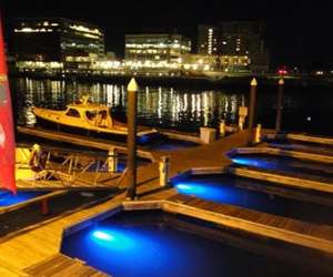 nighttime views of the crab shell