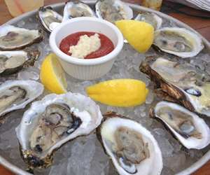 fresh oysters on display over ice